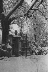 Z 29  6 Schlitz Schlossgarten Vorkriegsaufnahmen